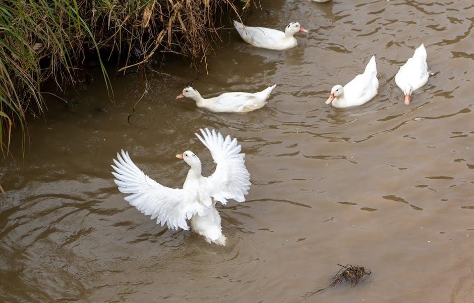buffalo creek disaster book pdf